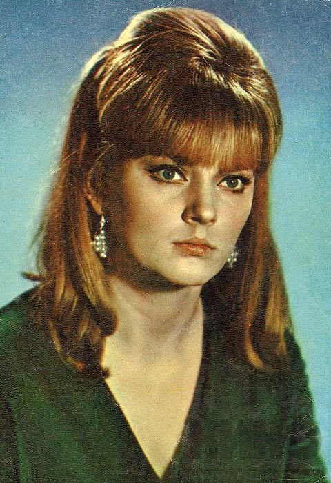 �������� ����������