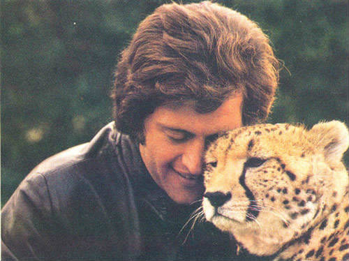 ��� ������