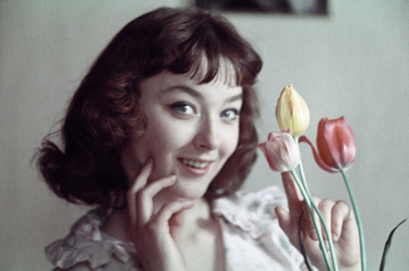 ��������� ����������