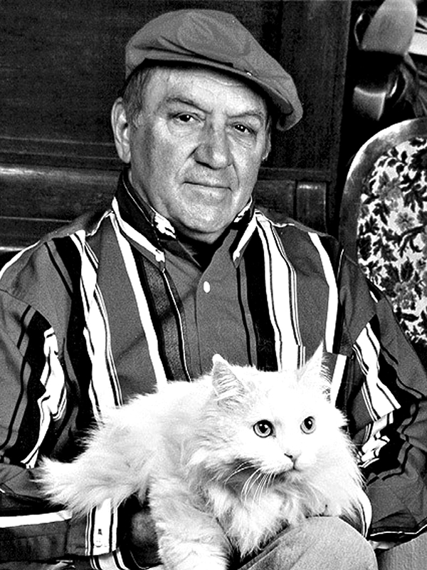 ������ ���� ������