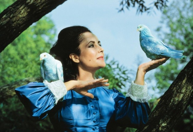 ������ ������: ������������ ���� ����� ���������� � ����������� �������������