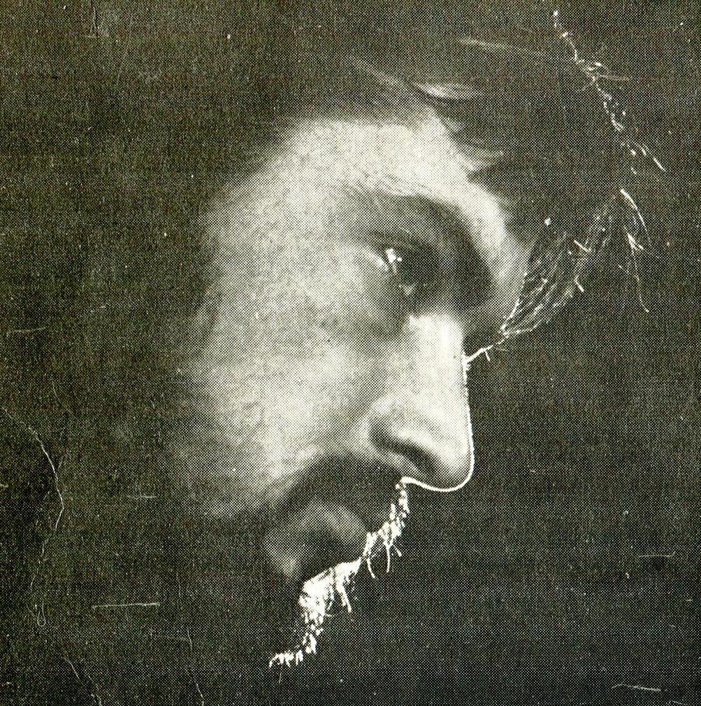 ������ ����������