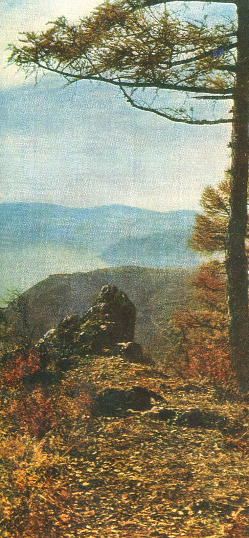 ������ ���������